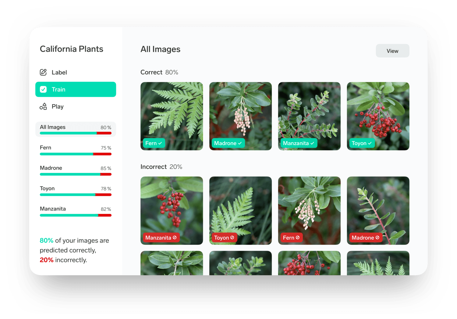 Lobe.ai Review — Dan Rose AI