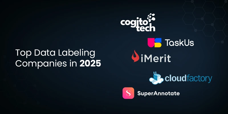 Top Data Labeling Companies in 2025