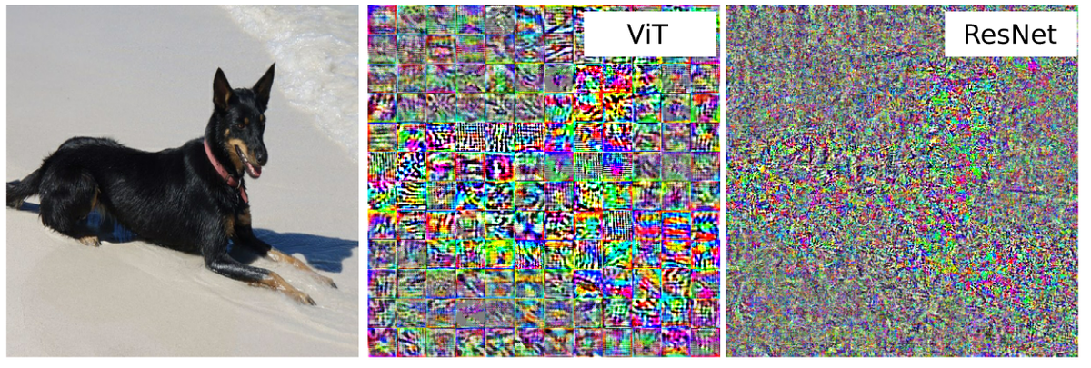 Understanding Vision Transformers (ViTs): Hidden properties,...