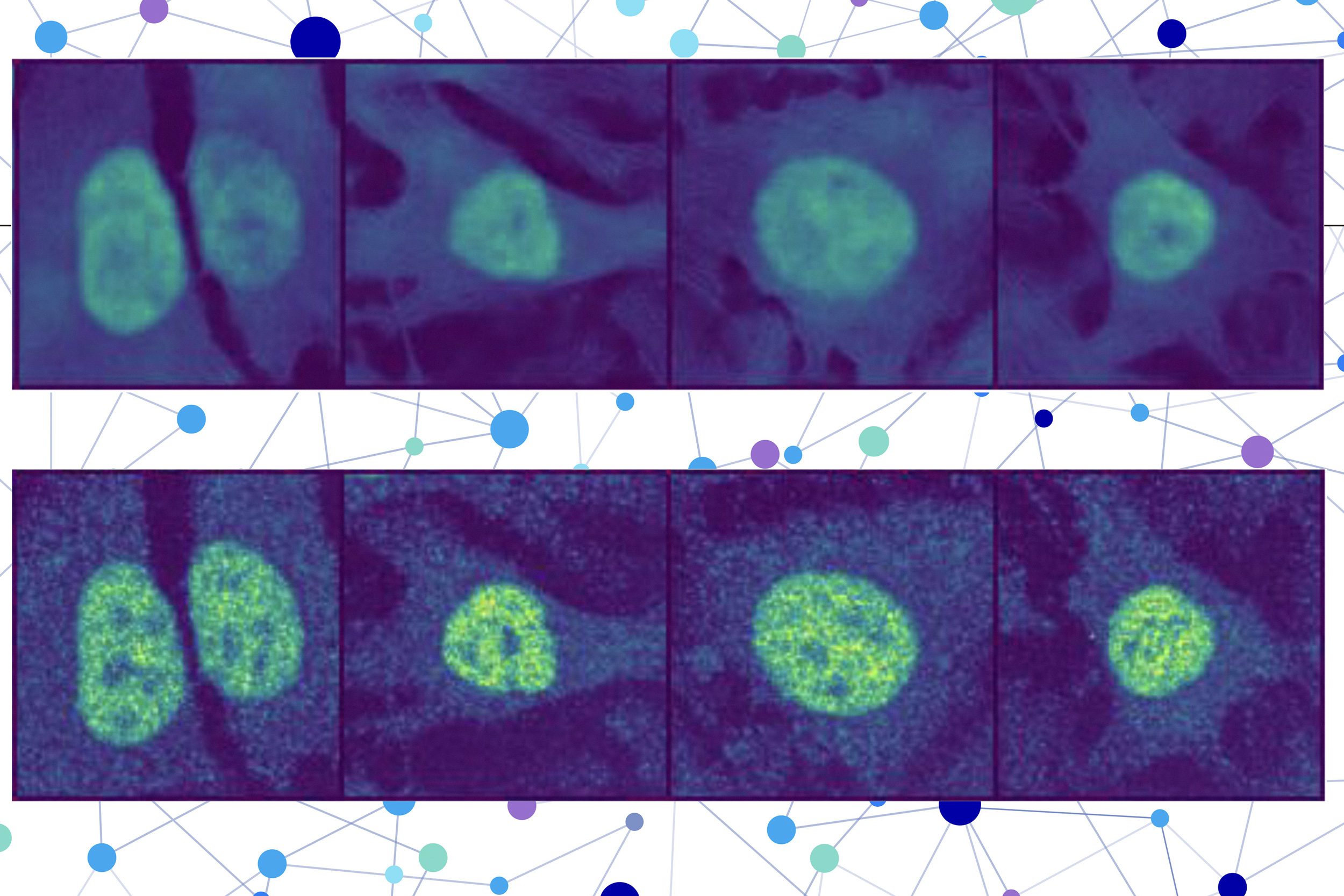 With AI, researchers predict the location...